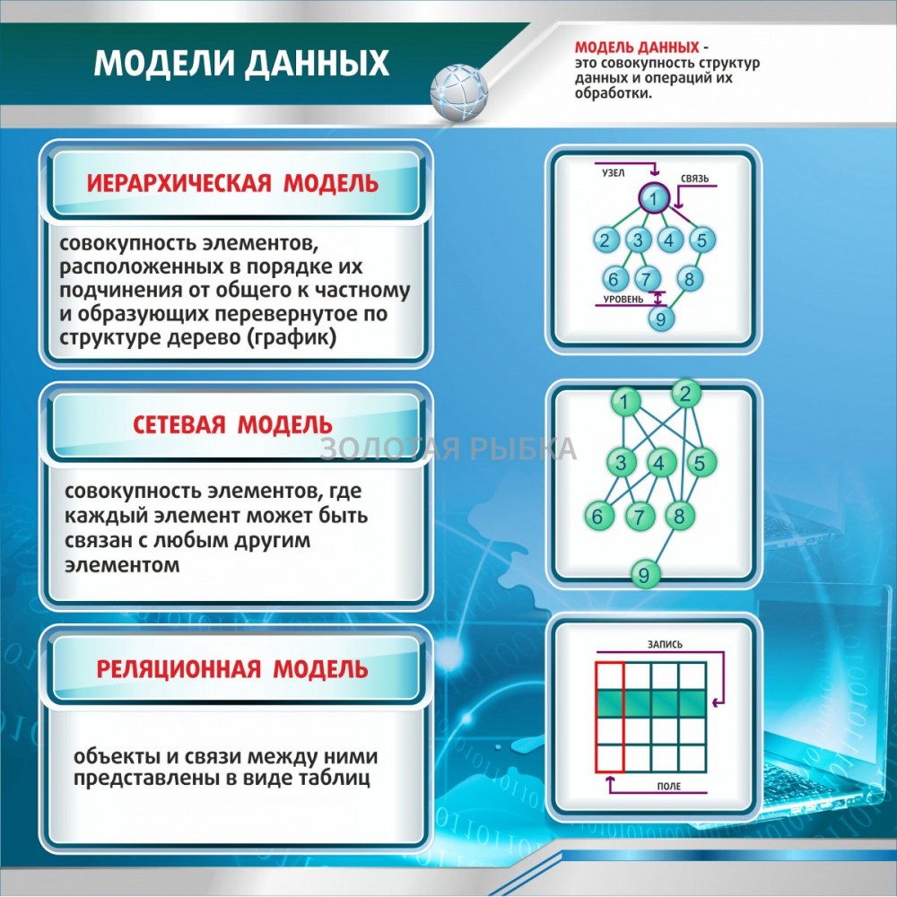 Стенд "Модели данных"